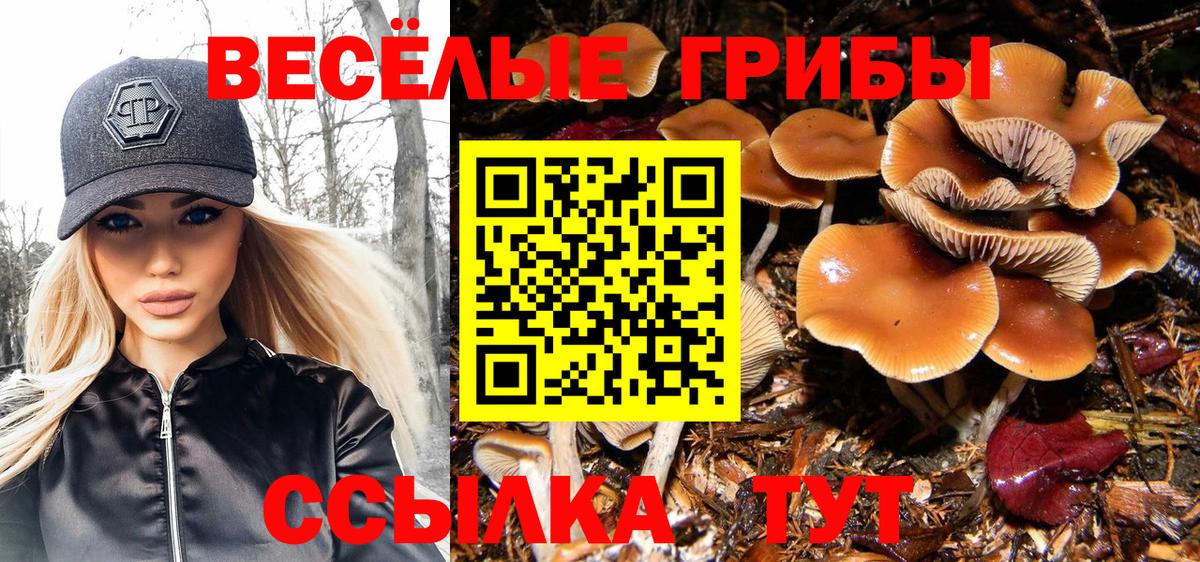 Псилоцибиновые грибы мухоморы  Вход с VPN  Усинск 