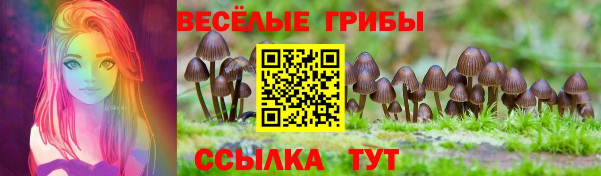 Псилоцибиновые грибы Cubensis Усинск